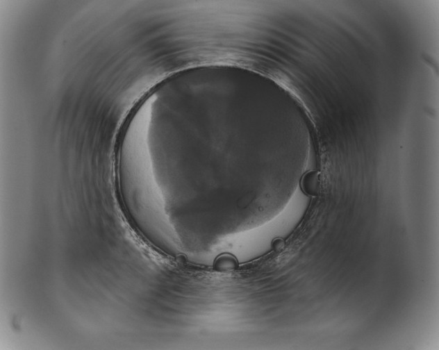 X0000102241088200808081430