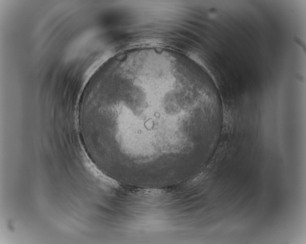 X0000102241090200808081430