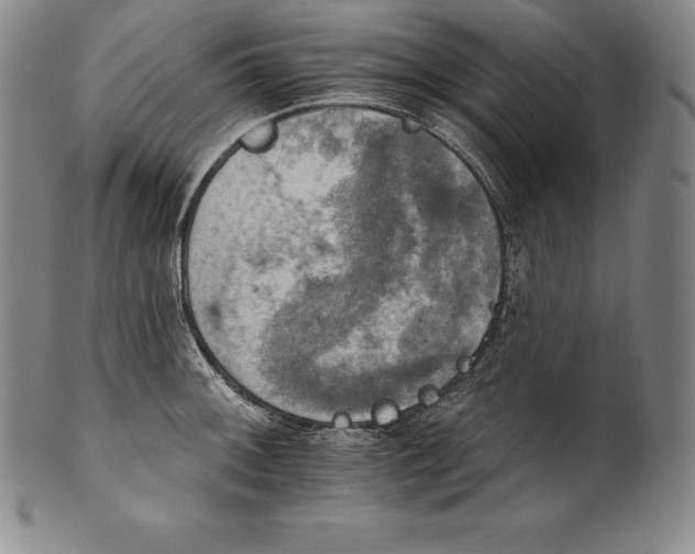 X0000102241092200808081430