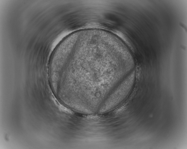 X0000102241094200808081430