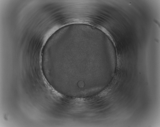 X0000102241096200808081430