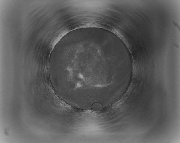 X0000102241097200808081430