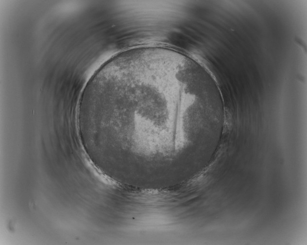 X0000102241098200808081430