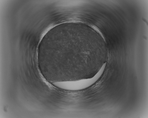 X0000102241099200808081430