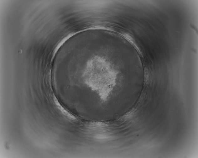 X0000102241100200808081430