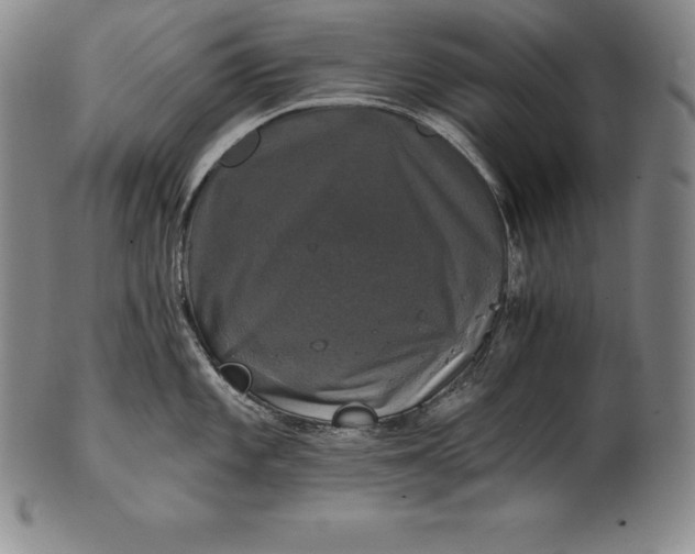 X0000102241101200808081430