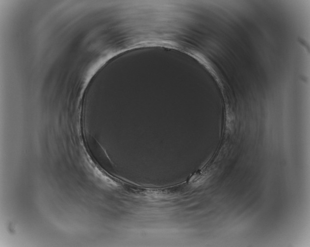 X0000102241102200808081430