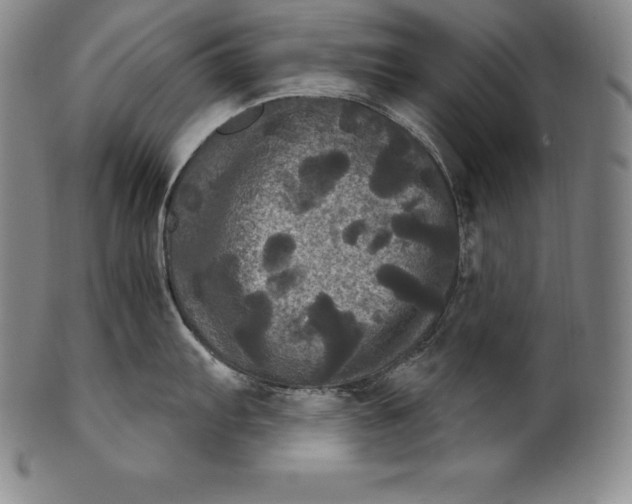 X0000102241103200808081430