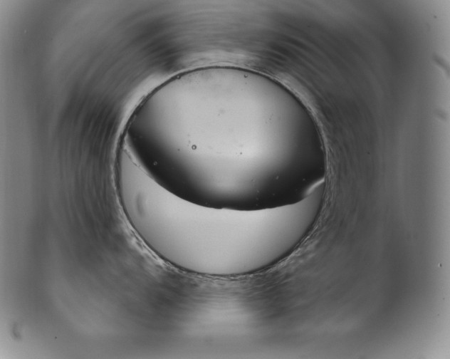 X0000102241104200808081430