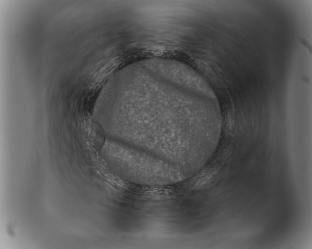 X0000102241105200808081429