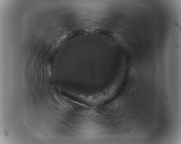 X0000102241106200808081429