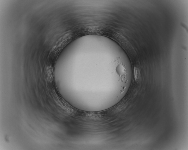 X0000102241107200808081429