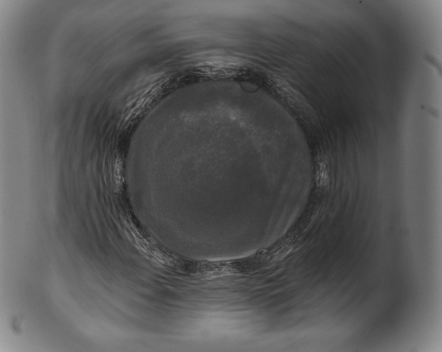 X0000102241108200808081429