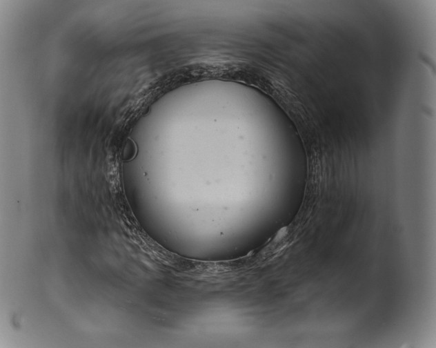 X0000102241109200808081429