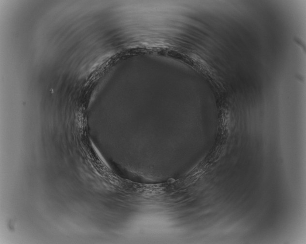 X0000102241110200808081429