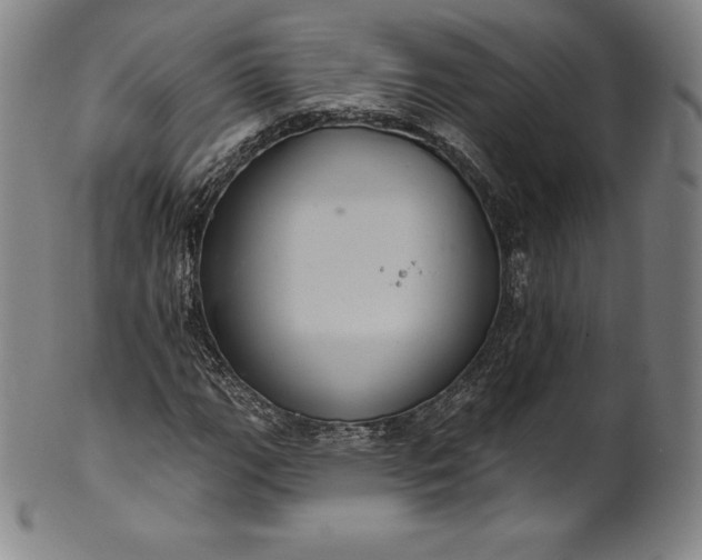 X0000102241111200808081429