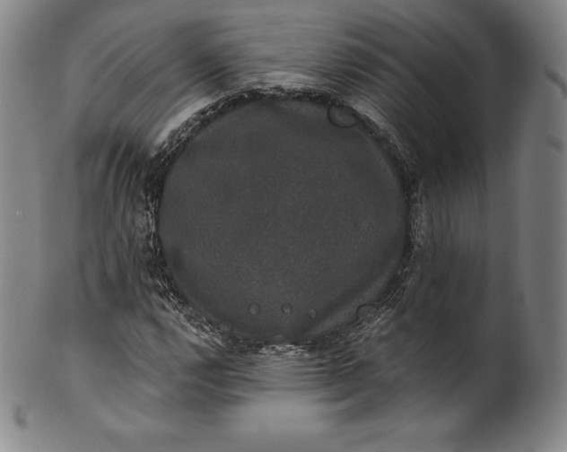 X0000102241112200808081429