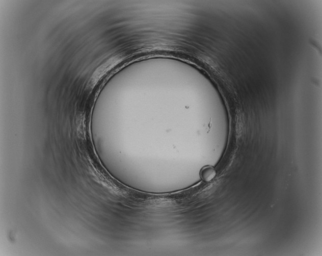 X0000102241113200808081429