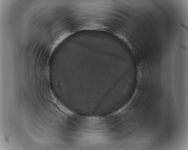 X0000102241114200808081429