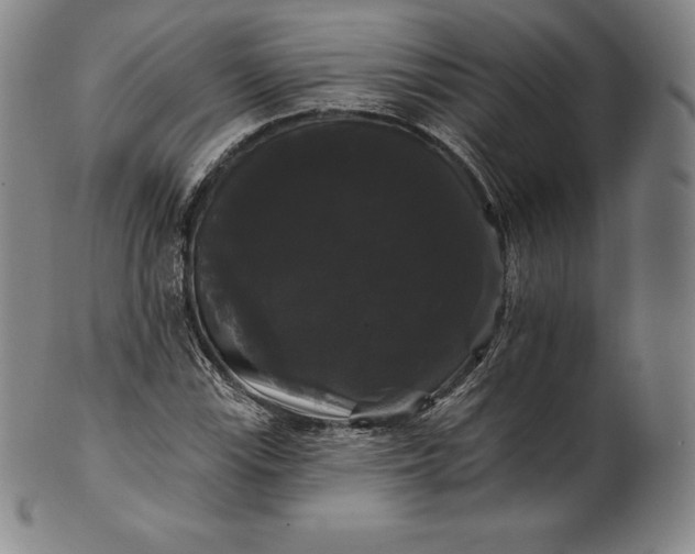 X0000102241115200808081429