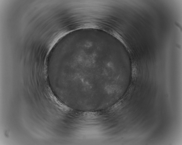 X0000102241116200808081429