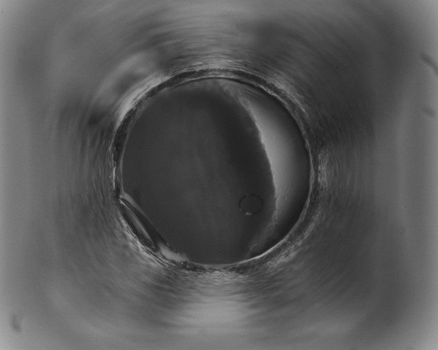 X0000102241117200808081429