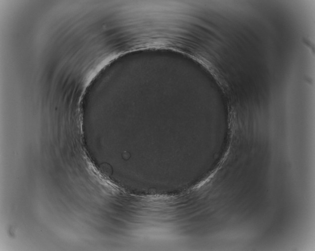 X0000102241118200808081429