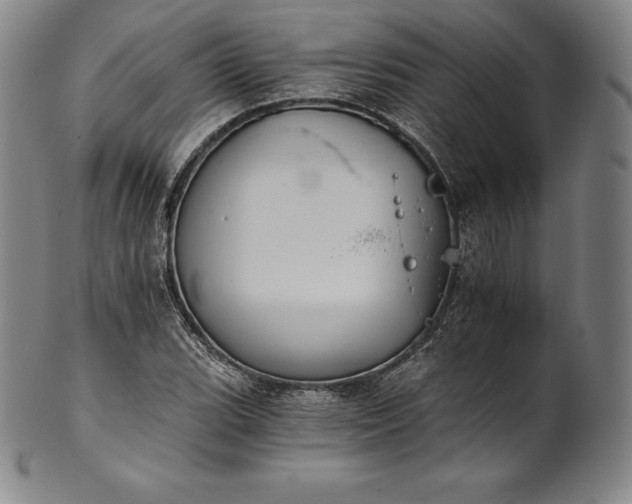 X0000102241119200808081429