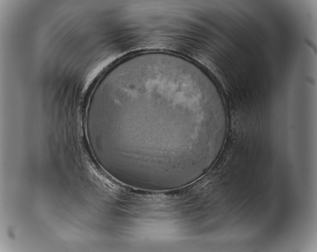 X0000102241120200808081429