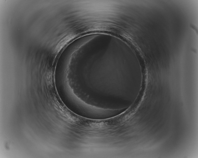 X0000102241121200808081429