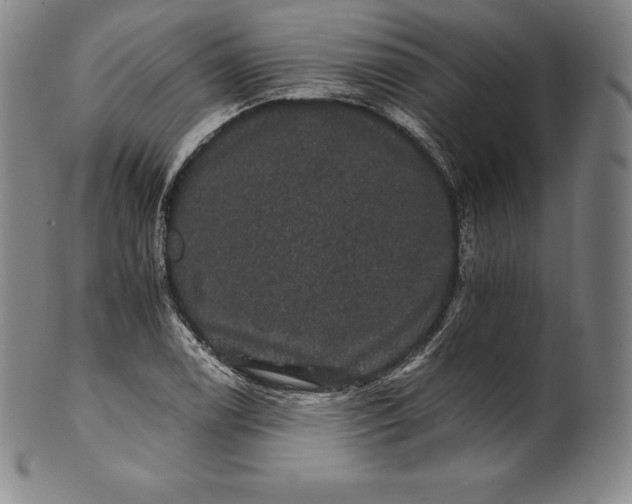 X0000102241122200808081429