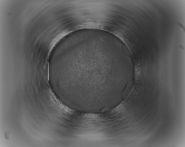 X0000102241123200808081429