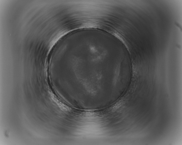 X0000102241124200808081429