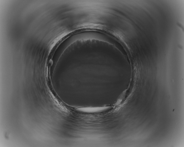 X0000102241125200808081429