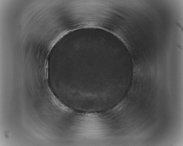 X0000102241126200808081429