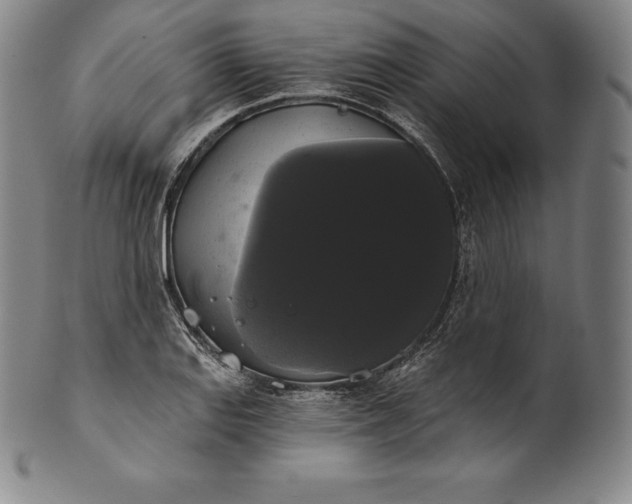 X0000102241127200808081429