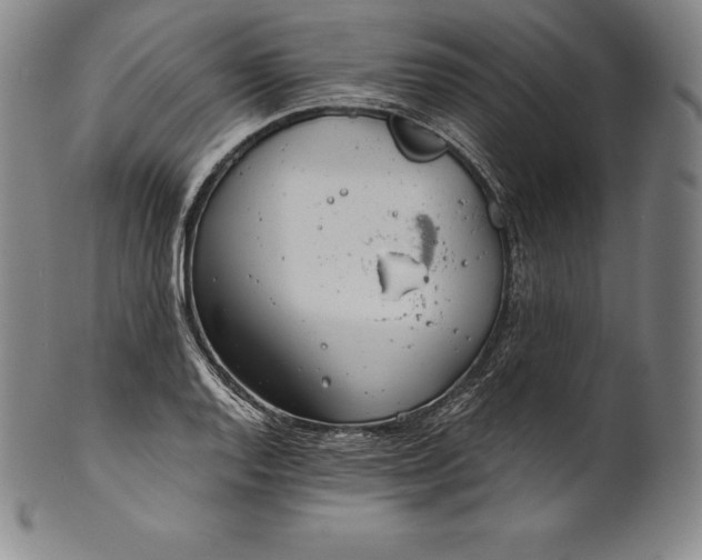 X0000102241128200808081429