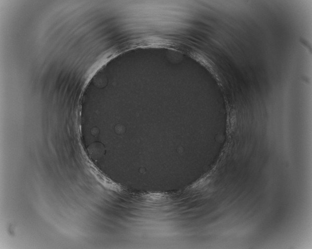 X0000102241130200808081429