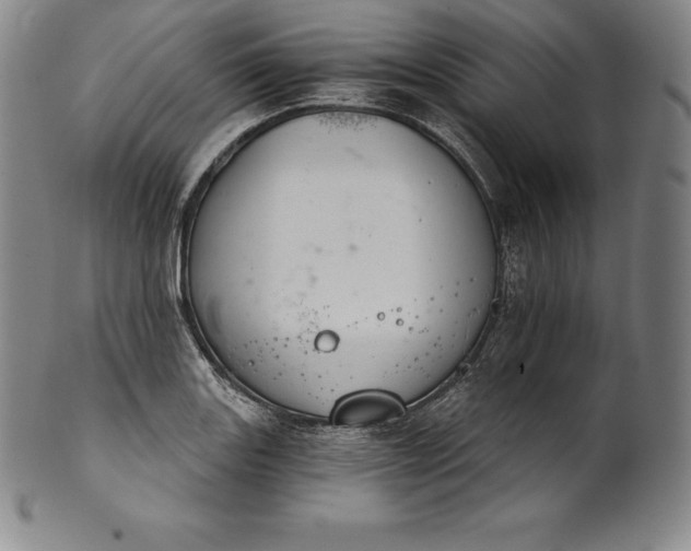 X0000102241131200808081429