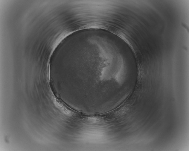 X0000102241132200808081429