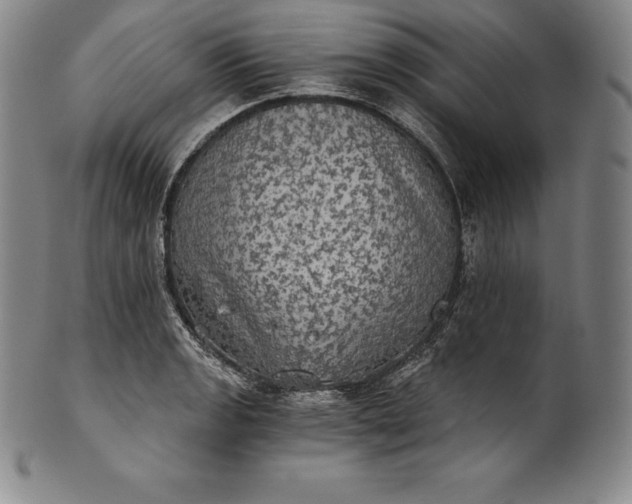 X0000102241133200808081429