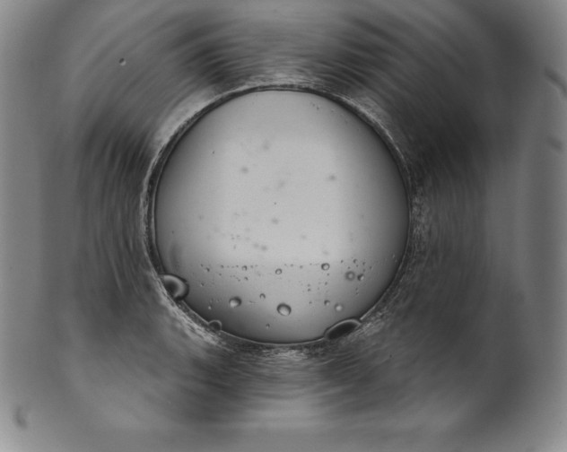 X0000102241135200808081429