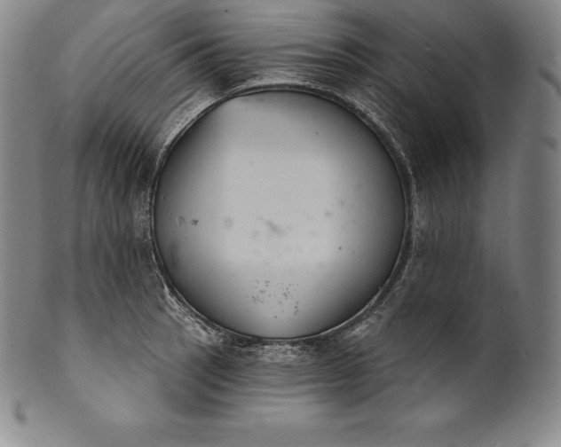 X0000102241137200808081429