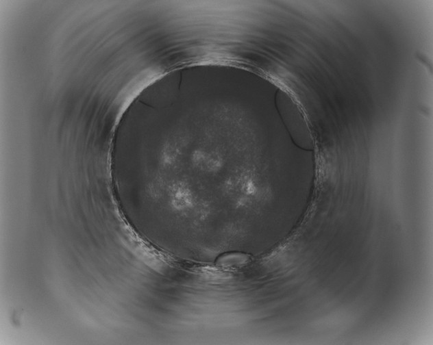 X0000102241138200808081429