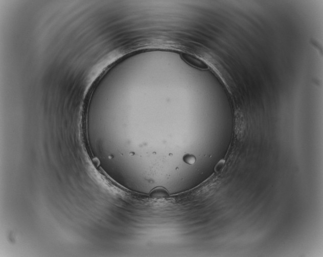 X0000102241139200808081430