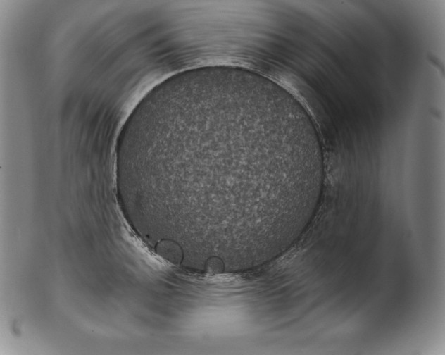 X0000102241140200808081430