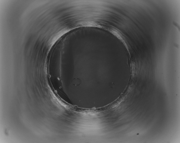 X0000102241141200808081430