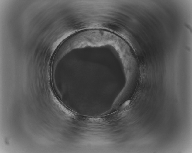 X0000102241142200808081430