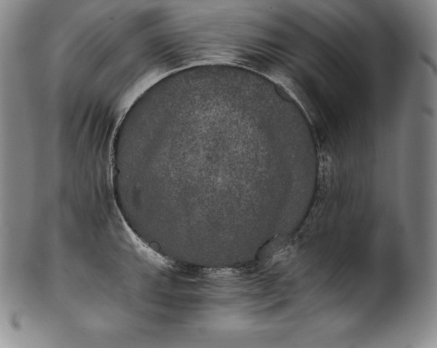 X0000102241143200808081430