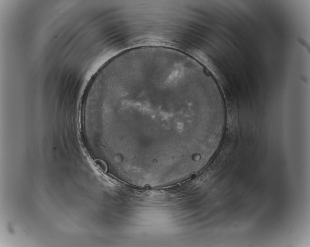 X0000102241144200808081430